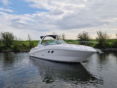 Sea Ray 335 Sundancer 